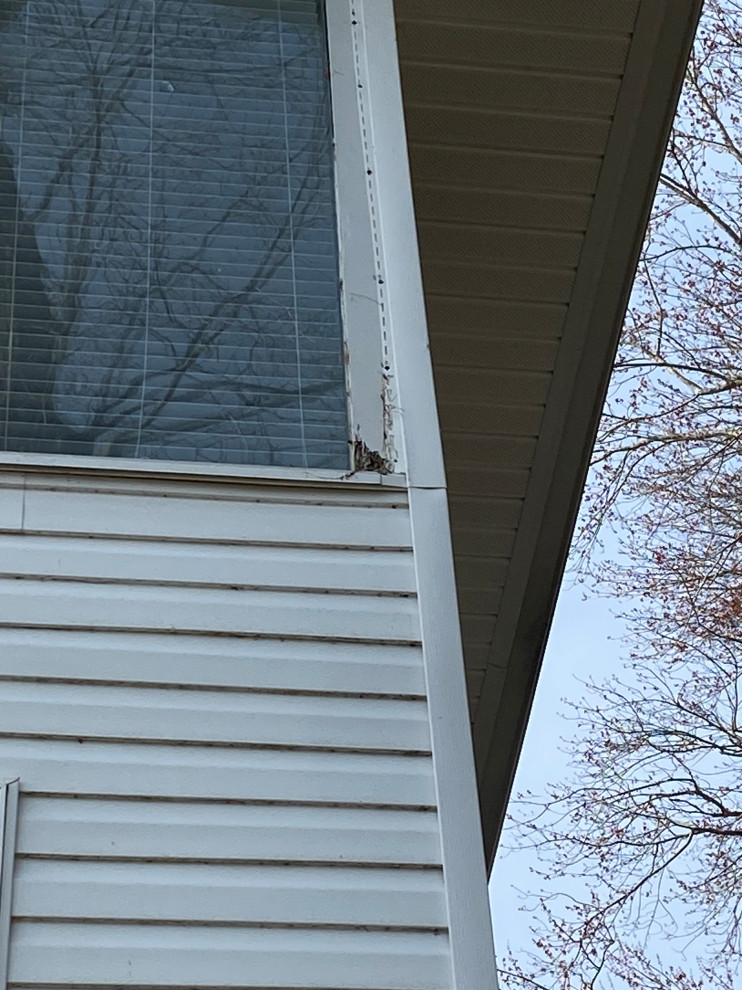 Lakeshore Drive Siding Repair