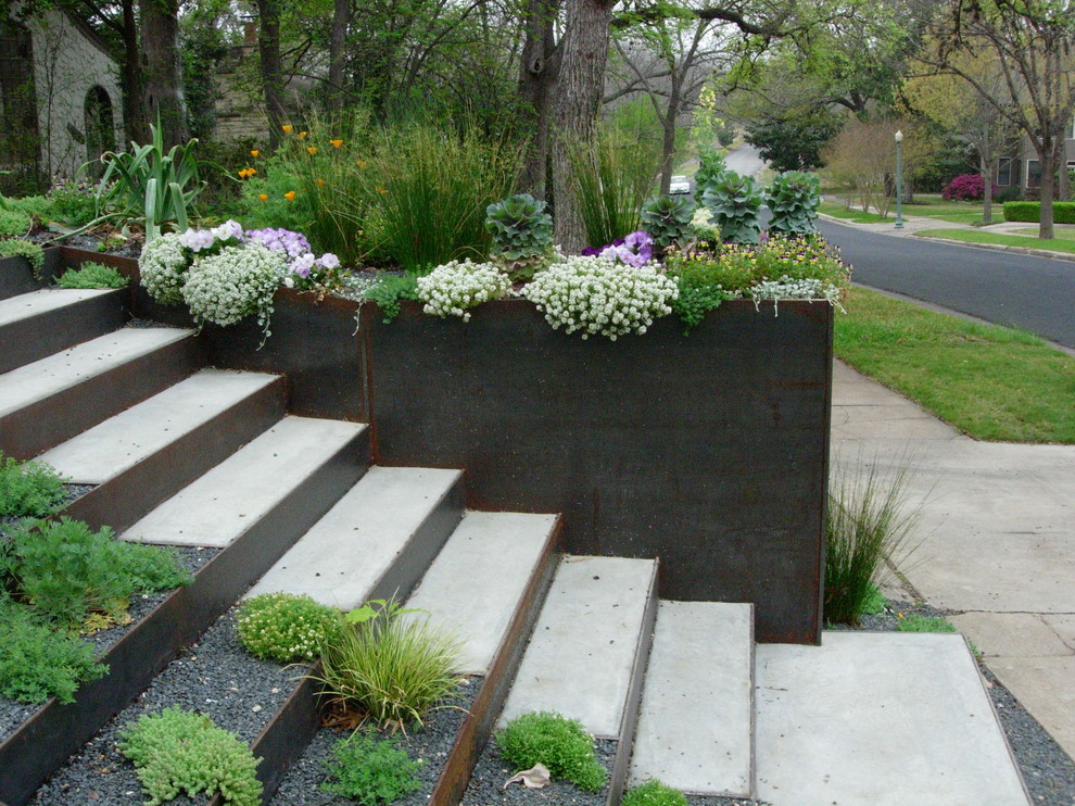 Inspiration for a modern front yard garden in Austin with a container garden.