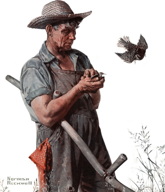 "Farmer and the Bird" Painting Print on Canvas by Norman Rockwell