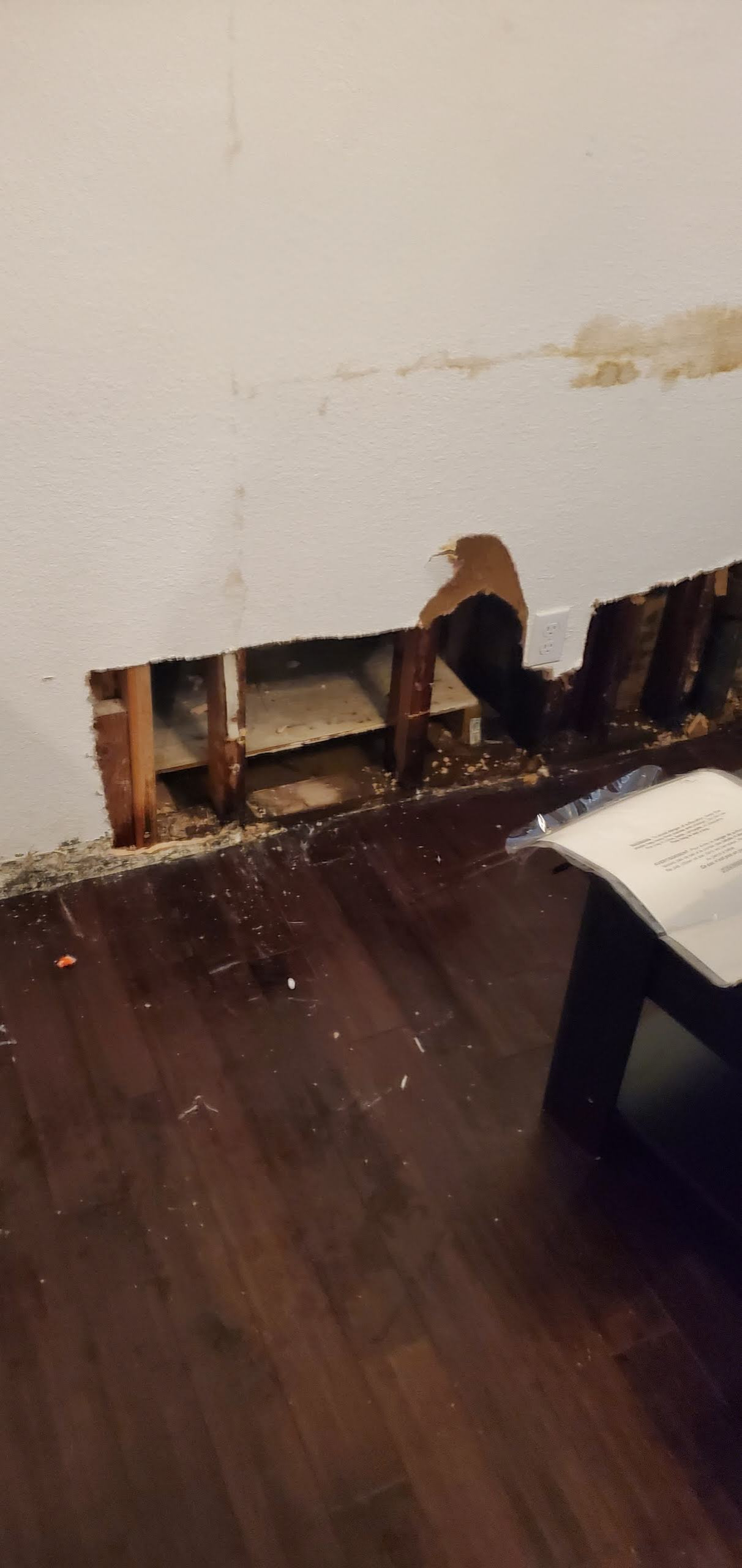 Water Damage shower
