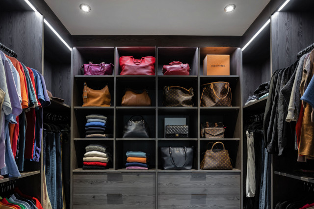 Modern house renovation contemporary-cabinet
