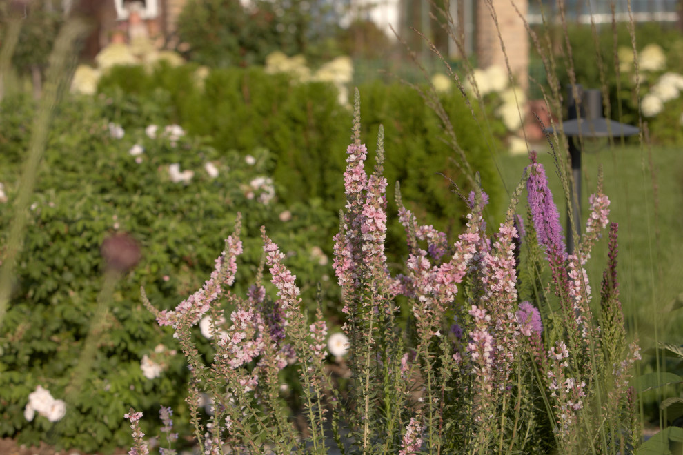 Отражение в каплях росы