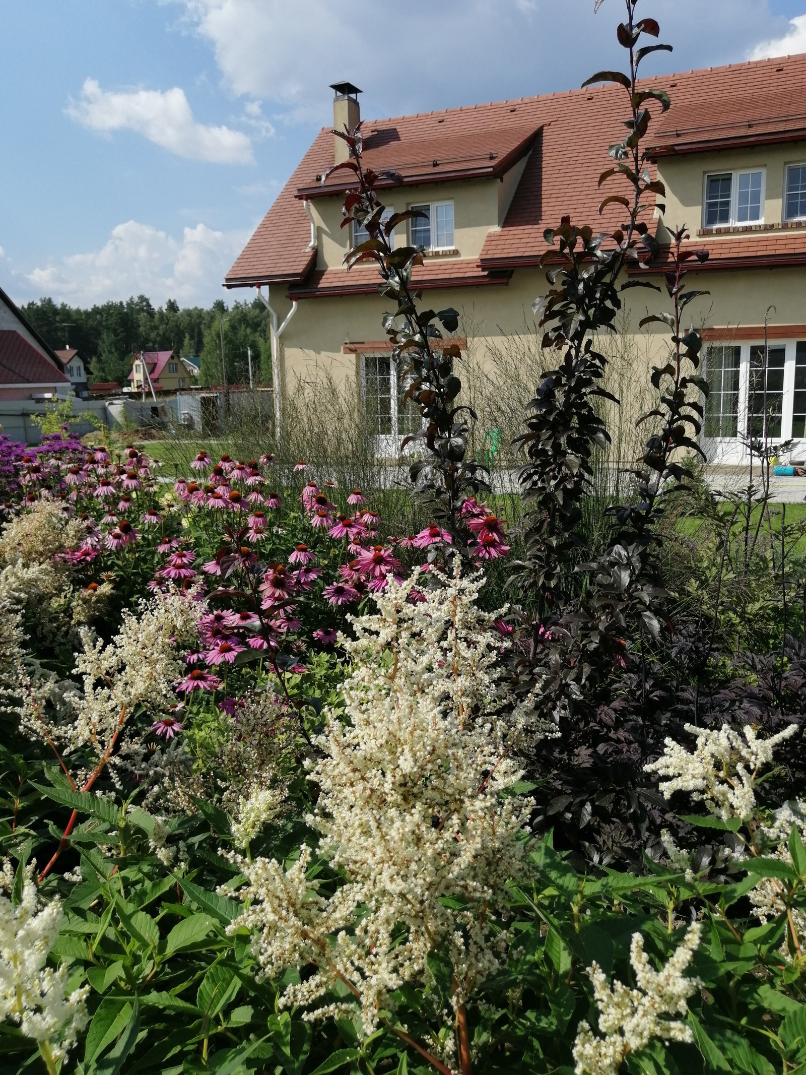 Подмосковный Прованс