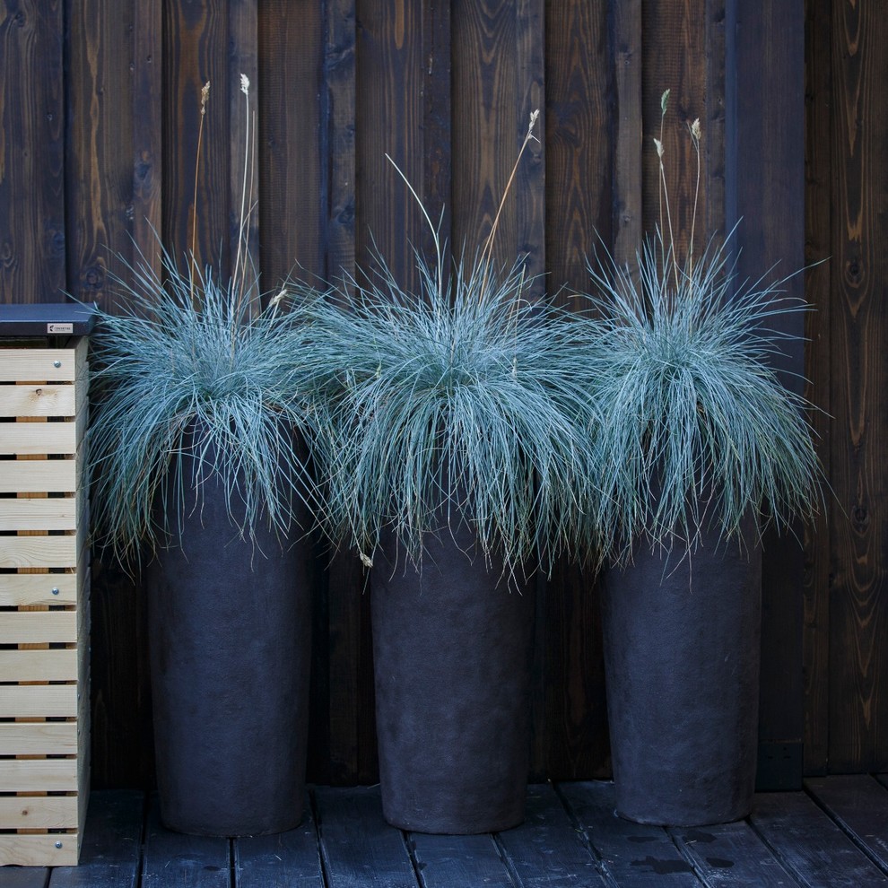 Фестиваль "Moscow Flower Show"