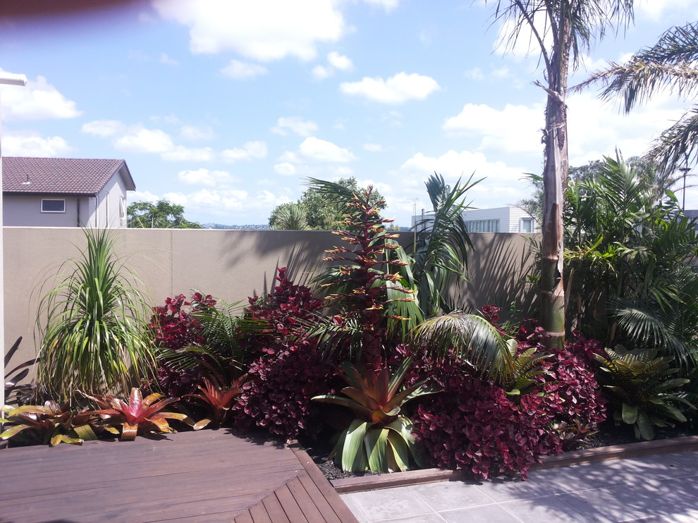 Small tropical side yard patio in Auckland with concrete pavers and no cover.
