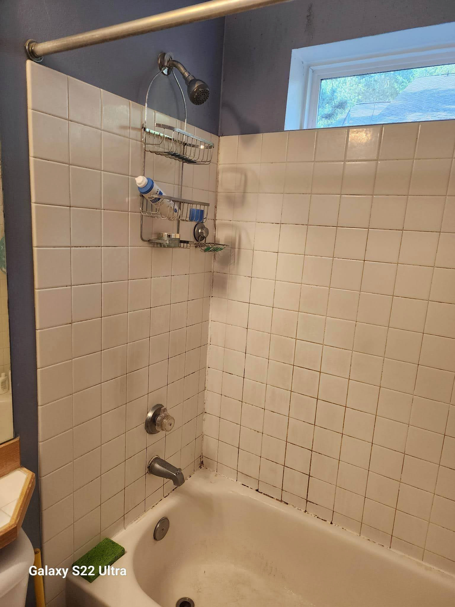 Redmond Bathroom Renovation