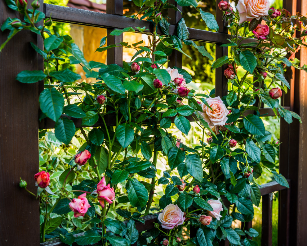 Часный сад 4