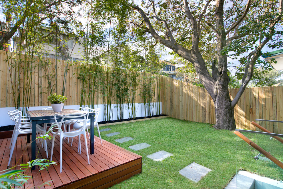 Photo of a contemporary backyard garden in Sydney with concrete pavers.