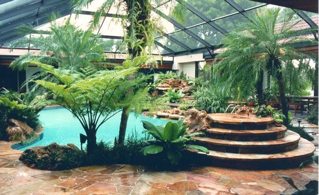 Tropical environment in south florida - Tropical - Pool ...