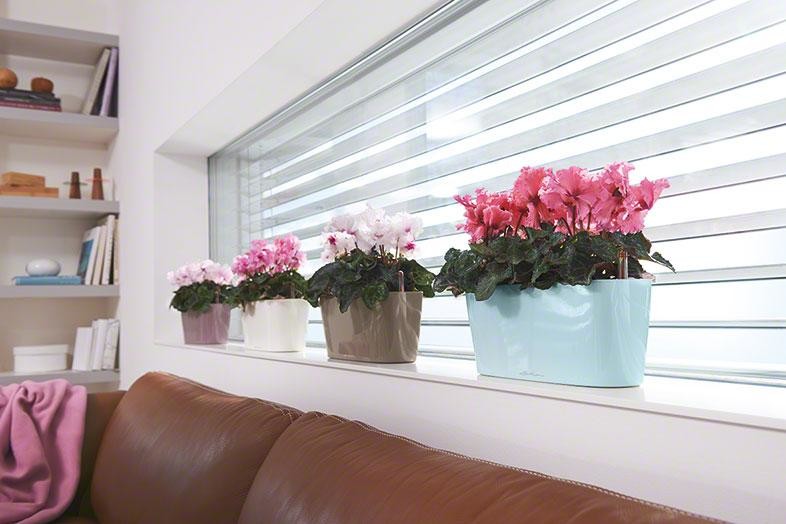 Шик на небольшой площади