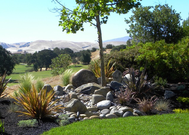 Structural Elements contemporary-garden