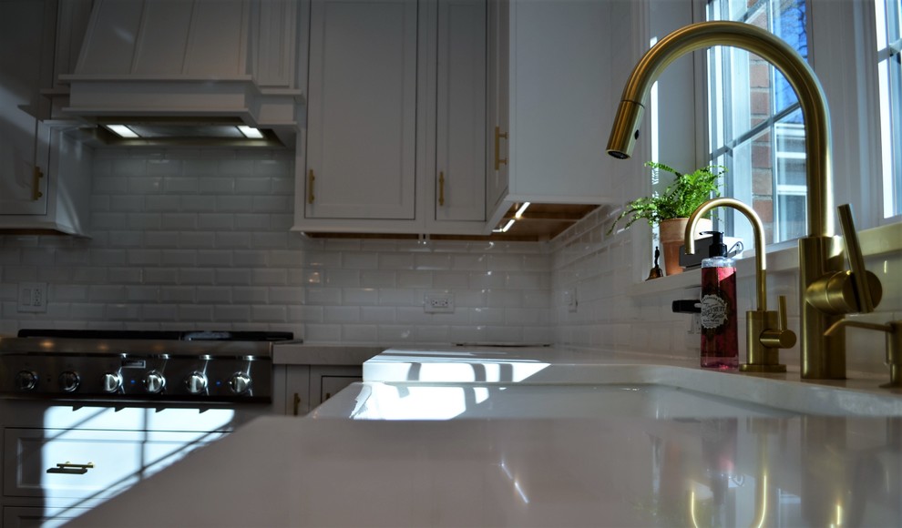 Transitional home design photo in Chicago