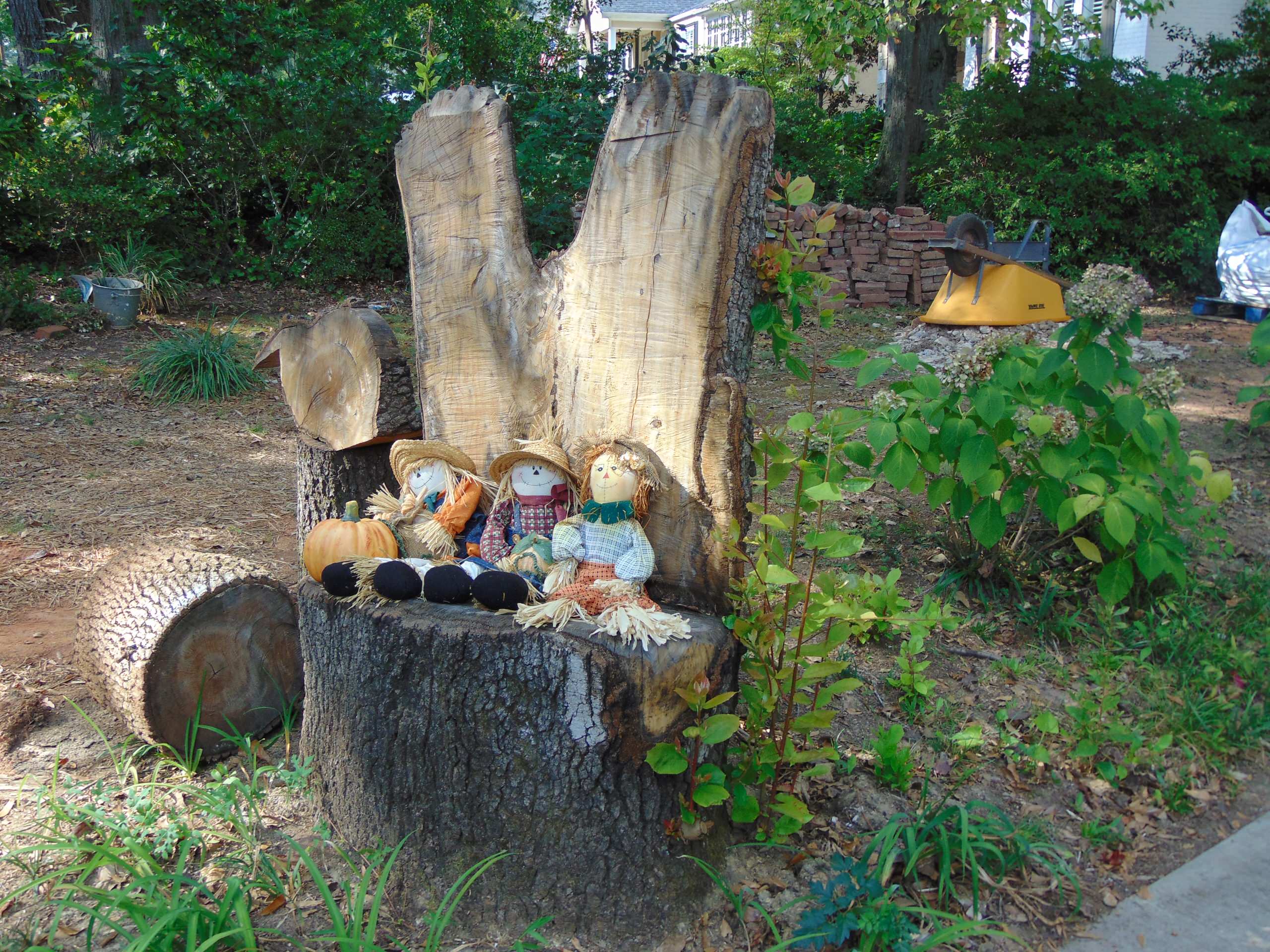 Double tree stump carving