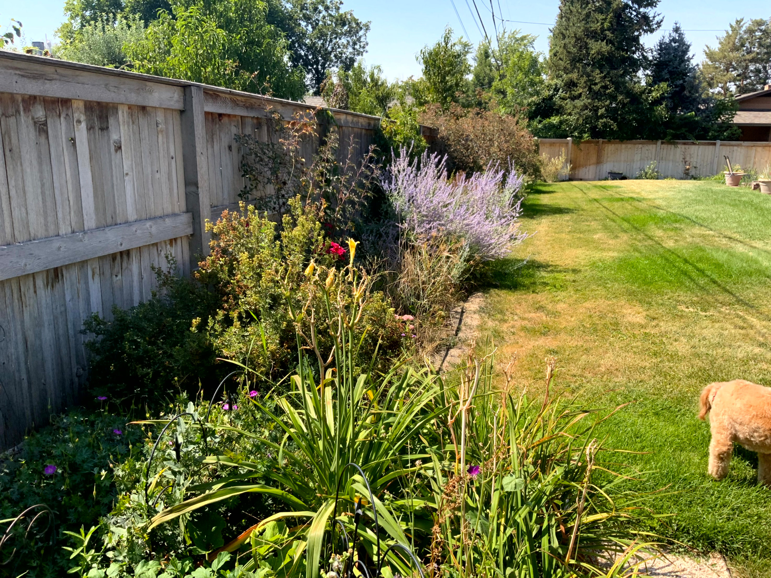 Cozy Cottage Garden
