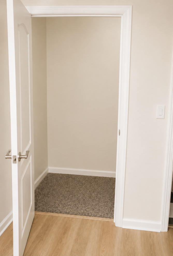 Ann Arbor - Finished Basement, Bar, Bathroom, Stone Fireplace & Custom Dry Sauna