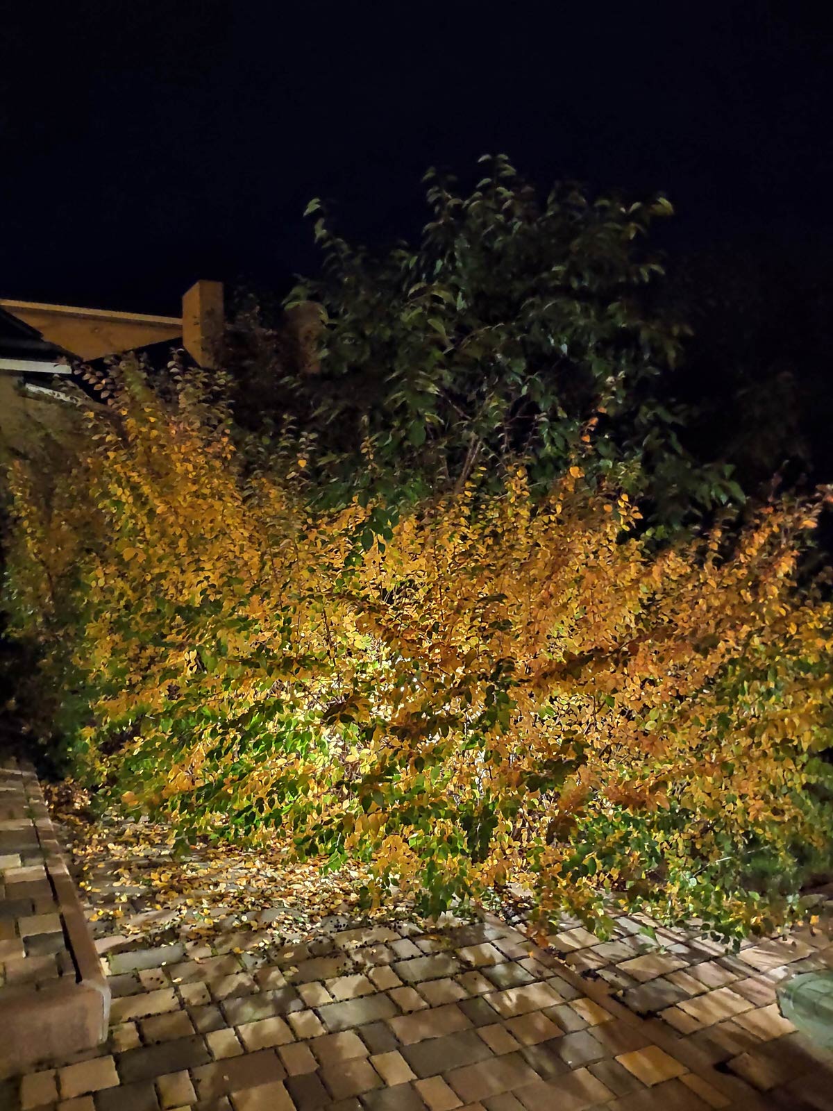 Ландшафт модернизация