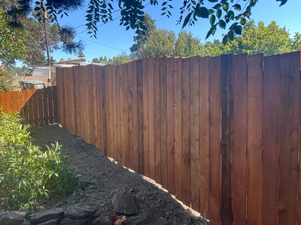 Back Fence