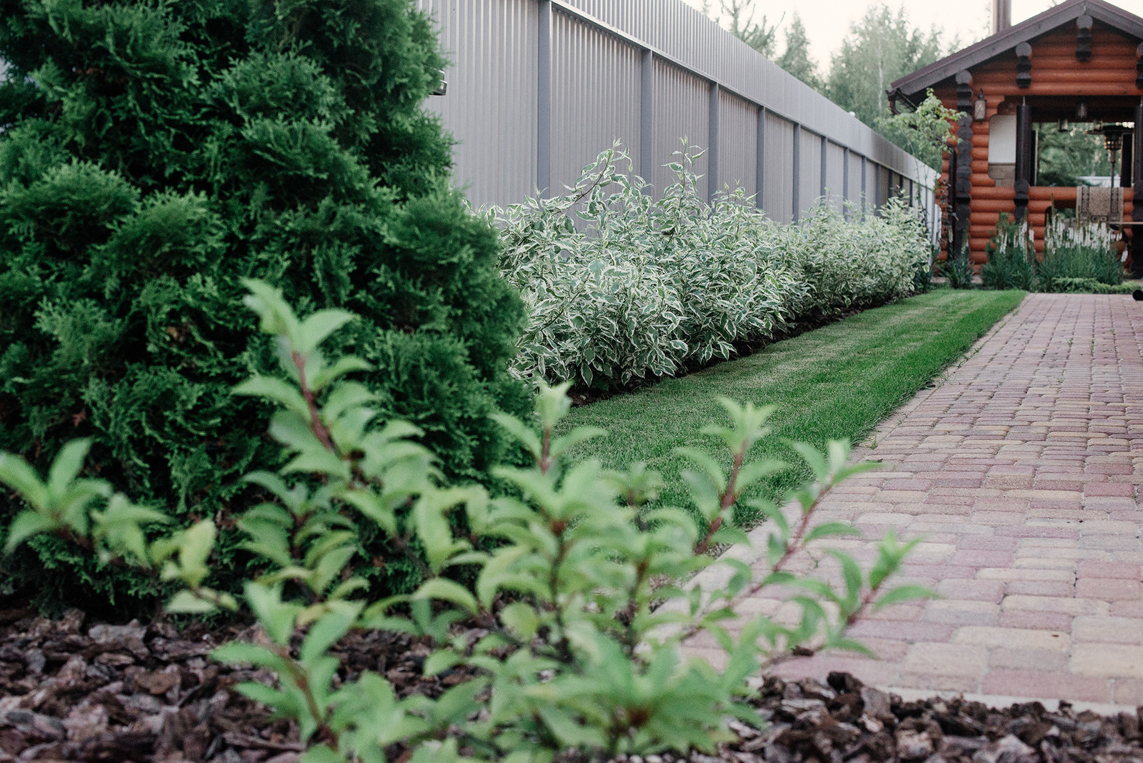 Агропустынь