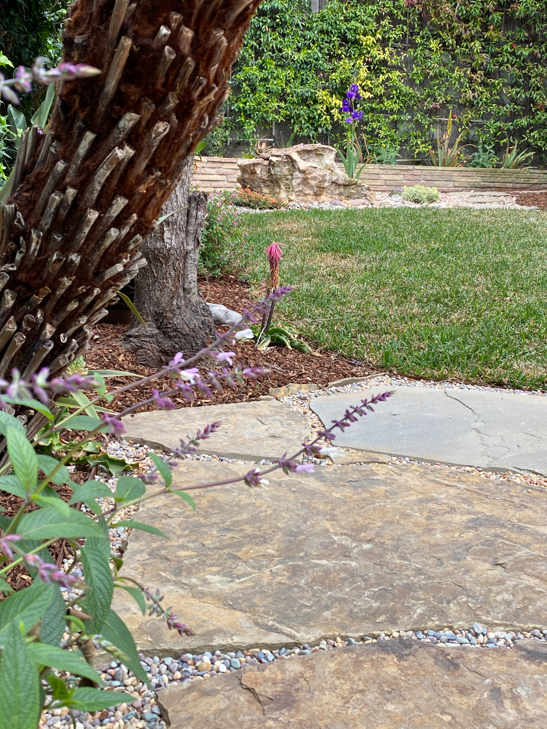 Hermosa Beach: Pollinator Garden