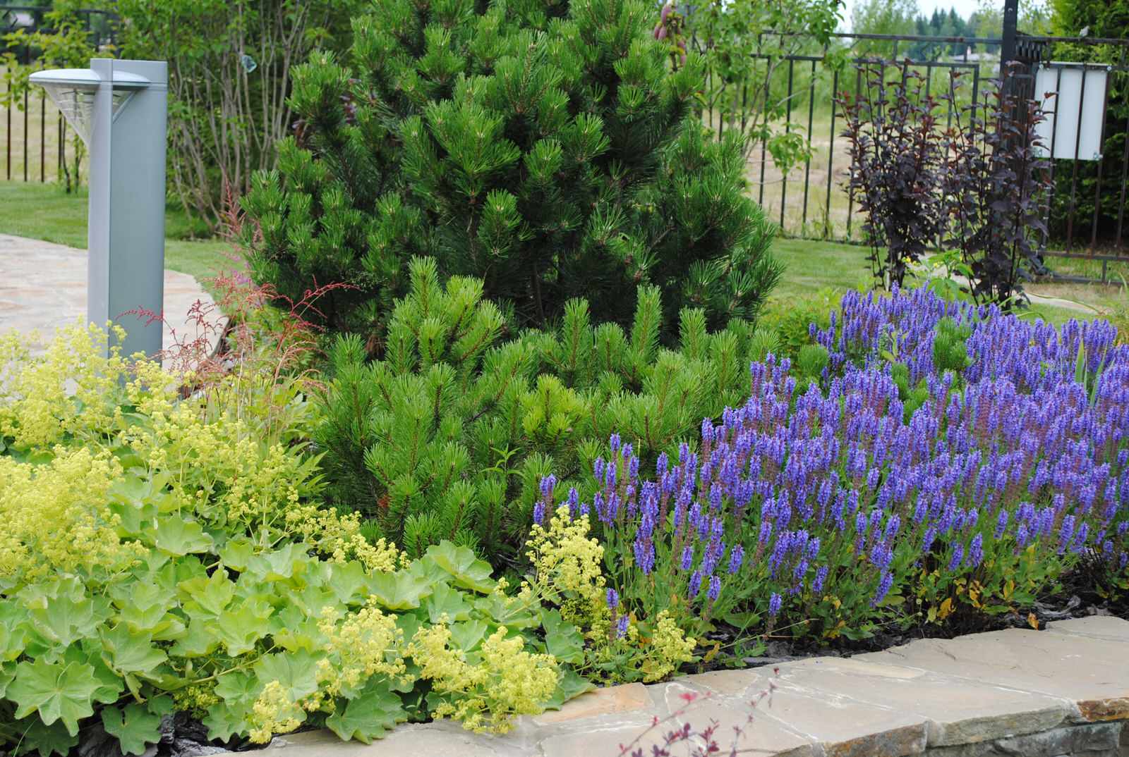 КП Графские пруды