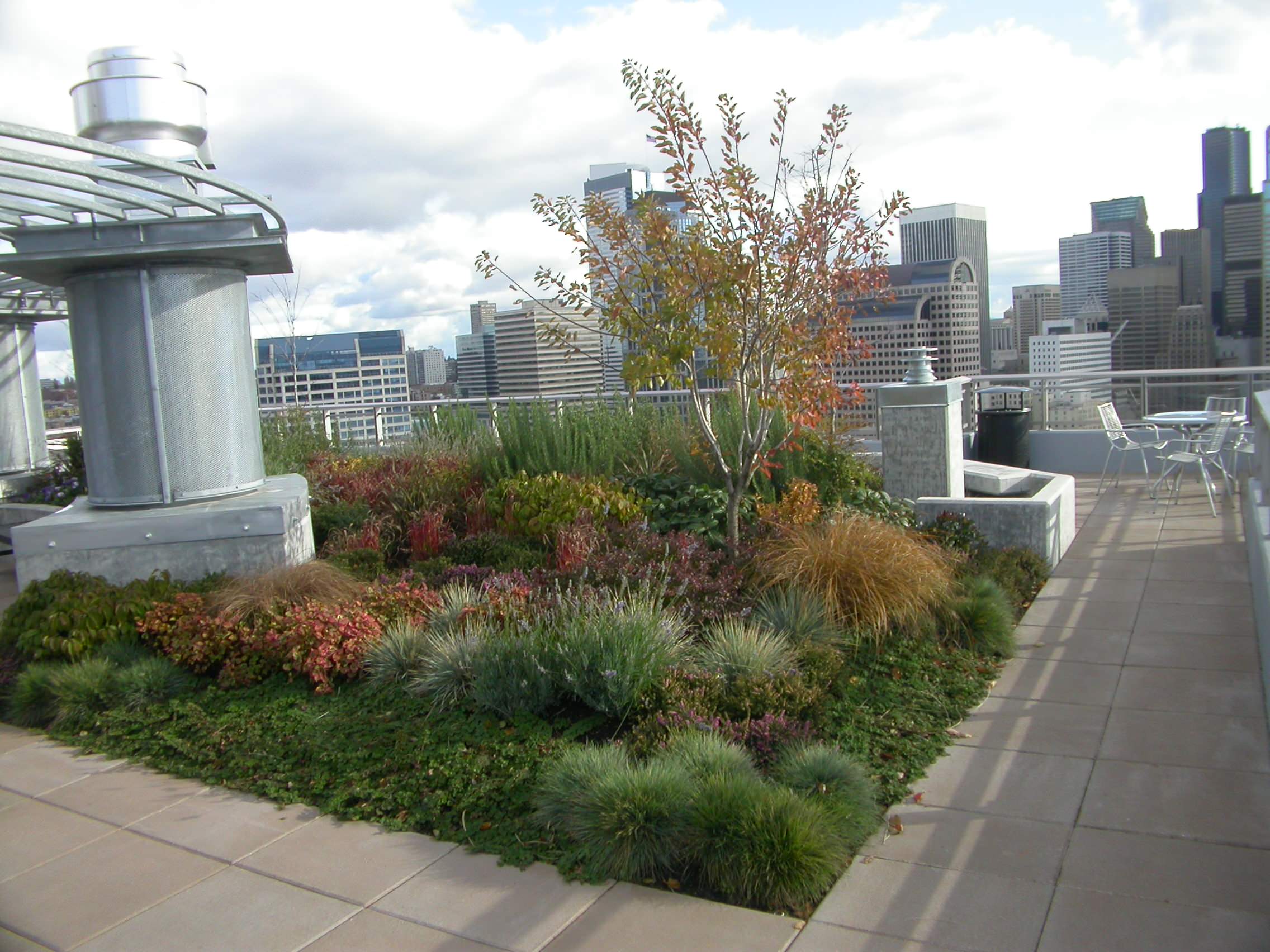 Cristalla Roof Garden - view to downtown