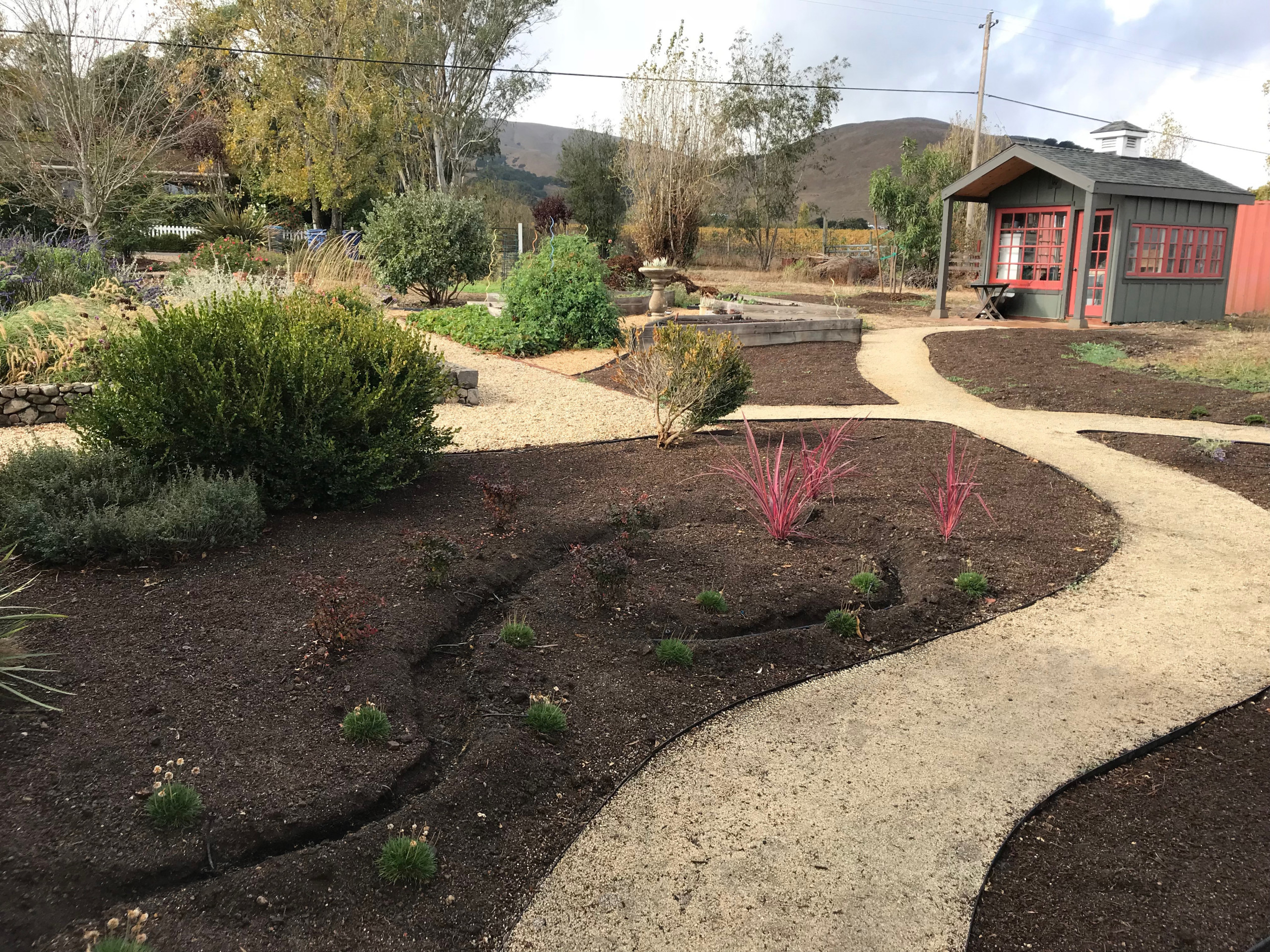 Paths and Planting in Sonoma