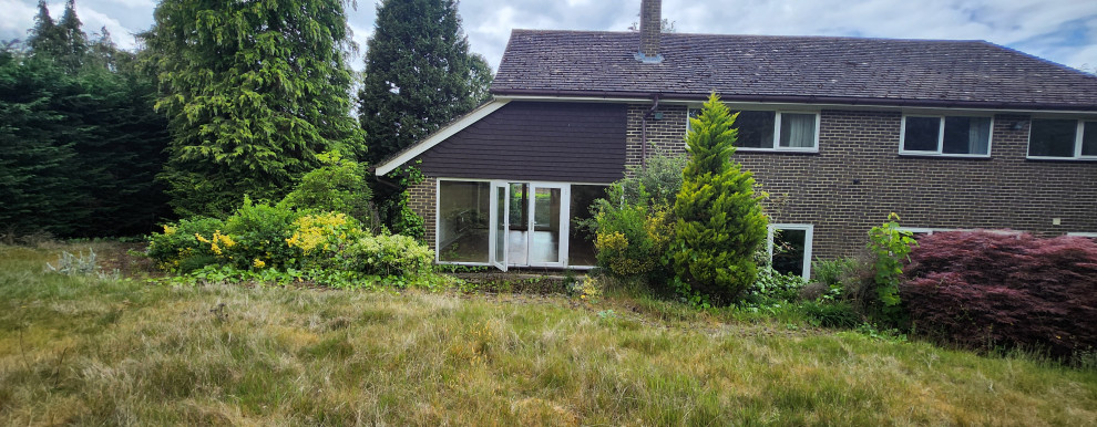 Woodpecker close Cobham