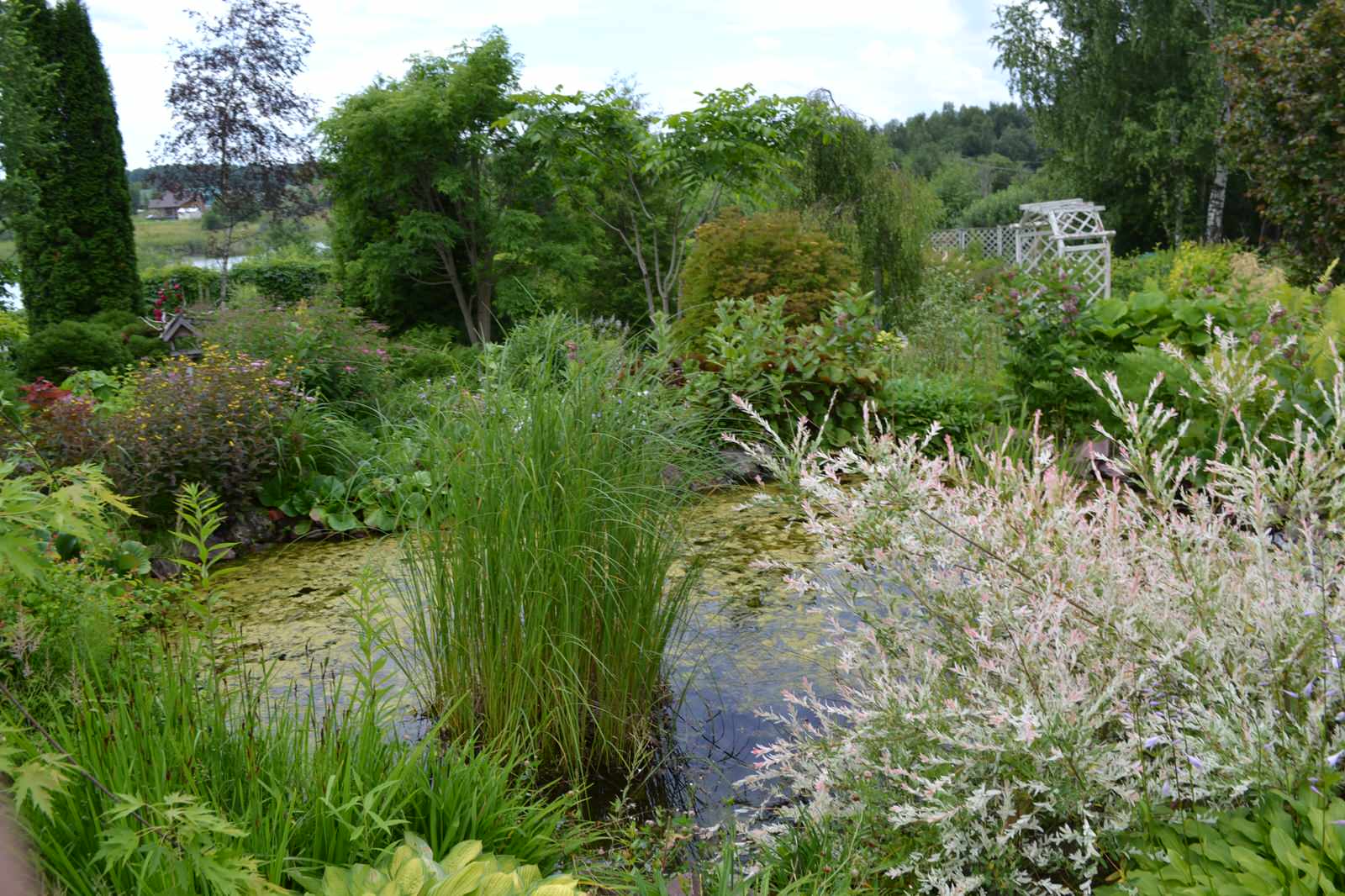 Сад  «Моя цветущая планета».