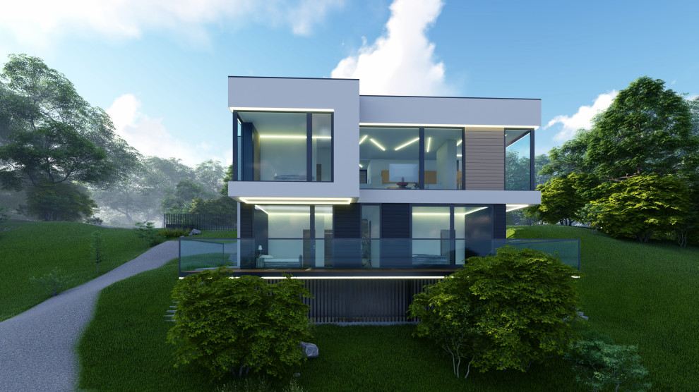Minimal modern house 207+198