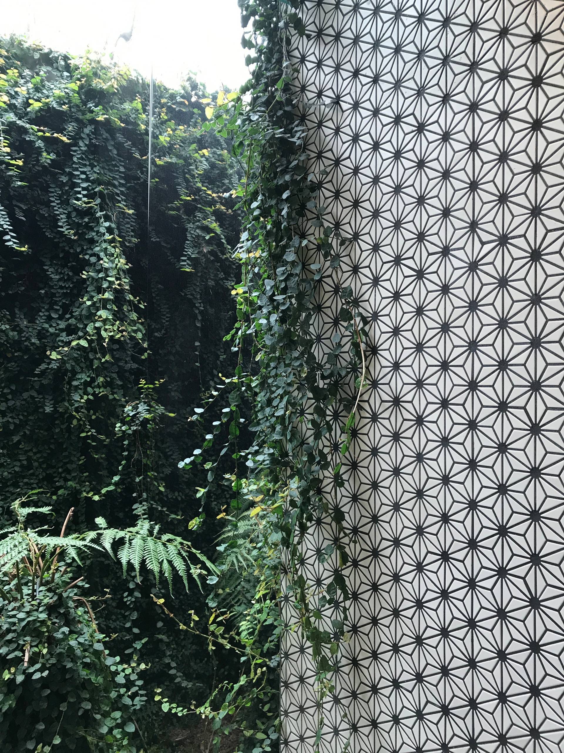 PATTERNS AND TEXTURE