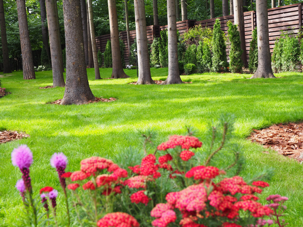 Проект Грибово