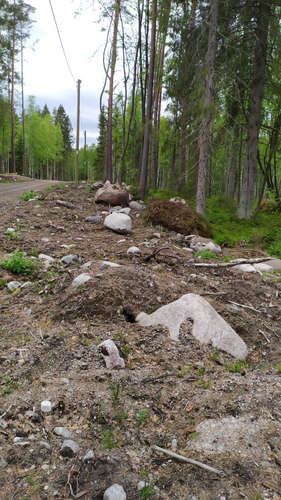 Лесная Ривьера