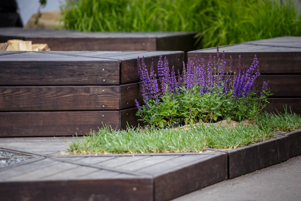 Патио-Триангулатио