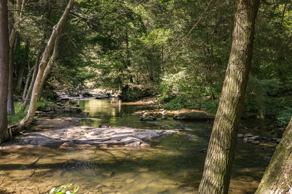 The Creek House