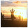 shannon_baird98