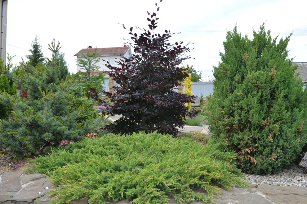 Сад "Ароматы Прованса"