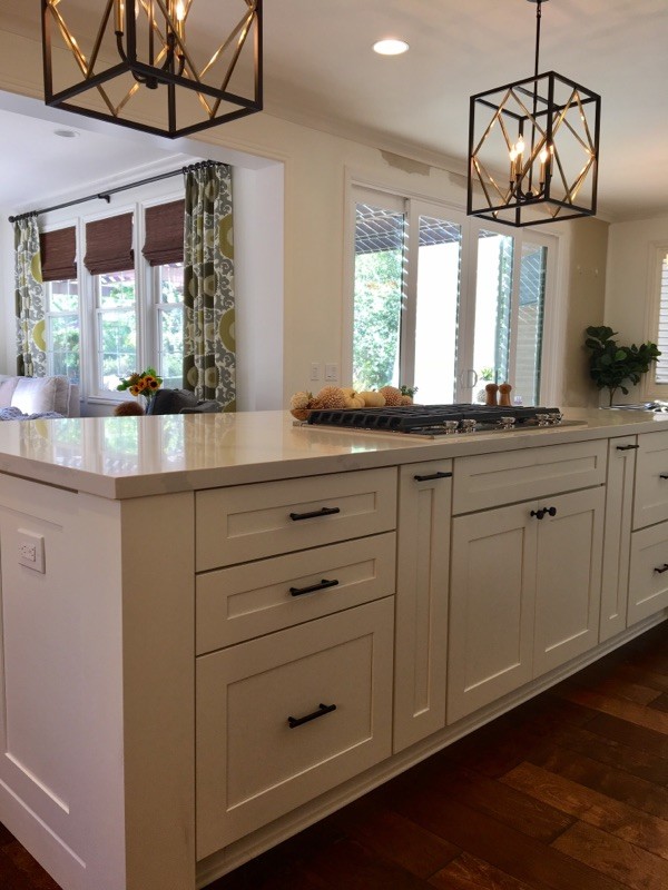 Kitchen - transitional kitchen idea in Orange County