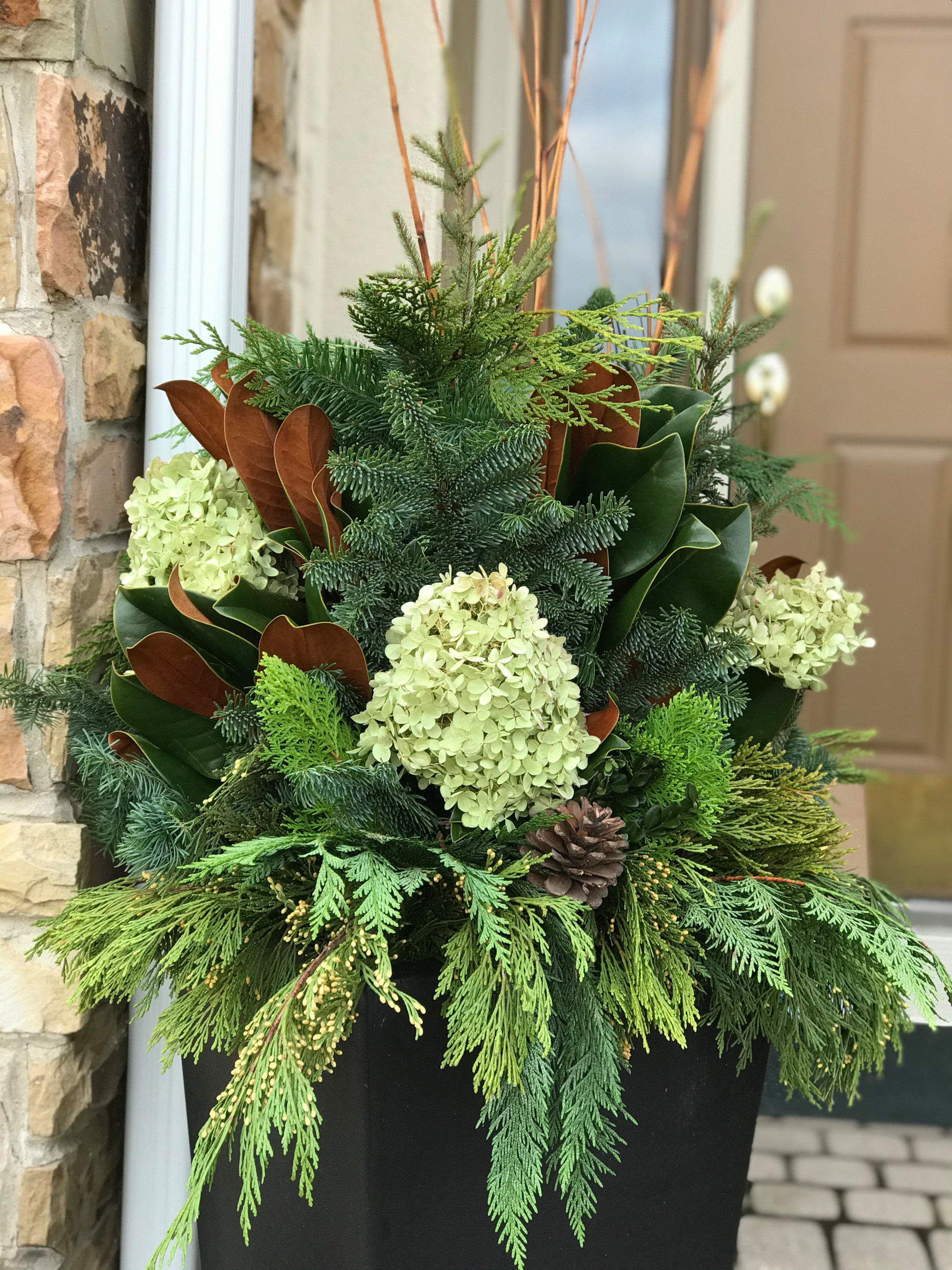 Winter containers and Holiday Decorations
