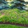 Straightline Landscaping & Lawn Maintenance