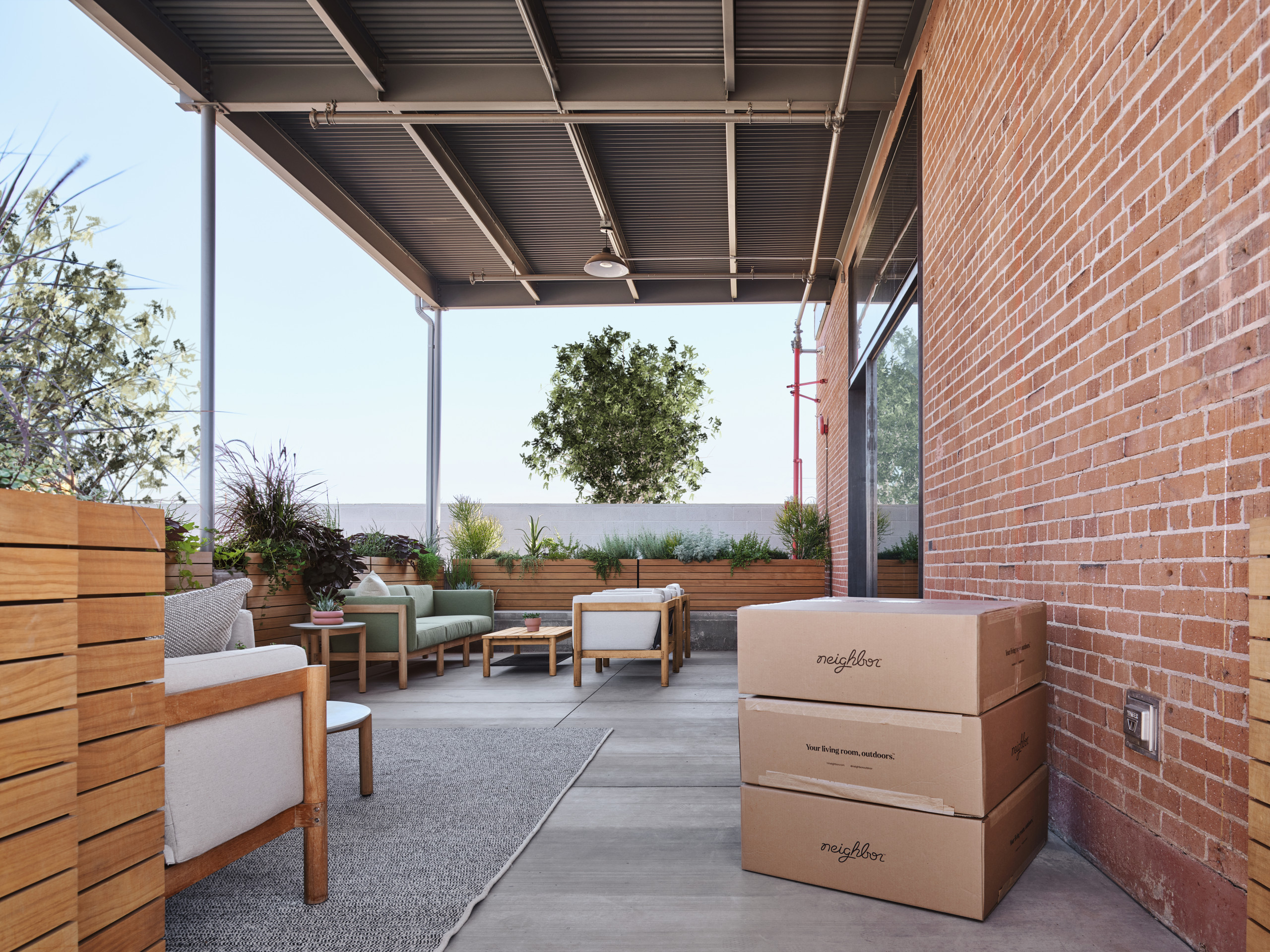 Neighbor's Collections