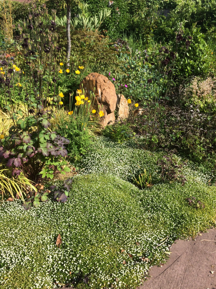 Ispirazione per una grande aiuola mediterranea esposta in pieno sole dietro casa in primavera
