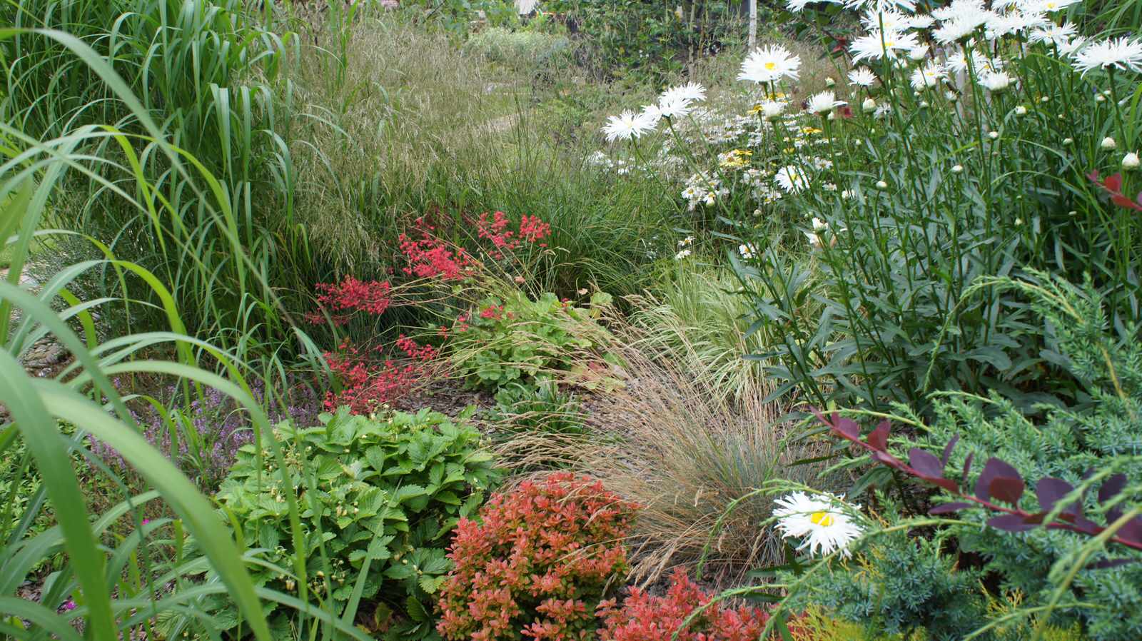 Прохорово лето 2017