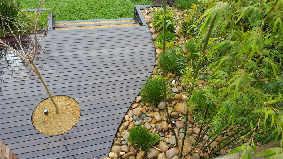 Design ideas for a large and australian native contemporary backyard full sun garden for winter in Sydney.