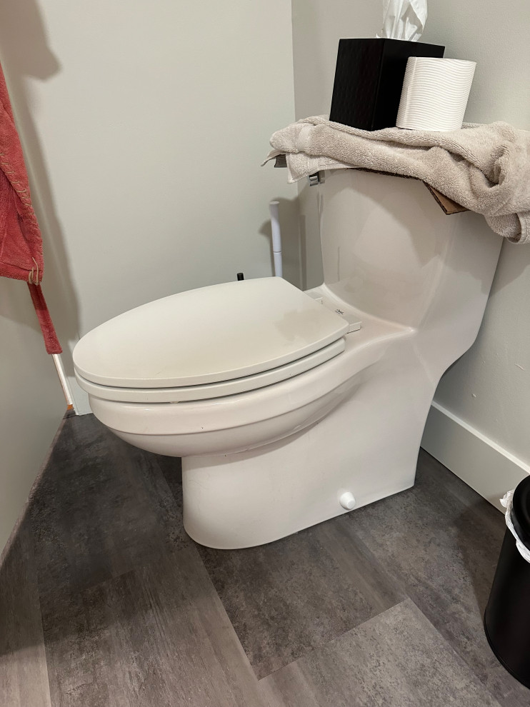 Ferguson Mirabelle one piece round bowl toilet comparable fixture