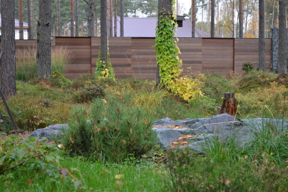 Райт и Ленинградский лес