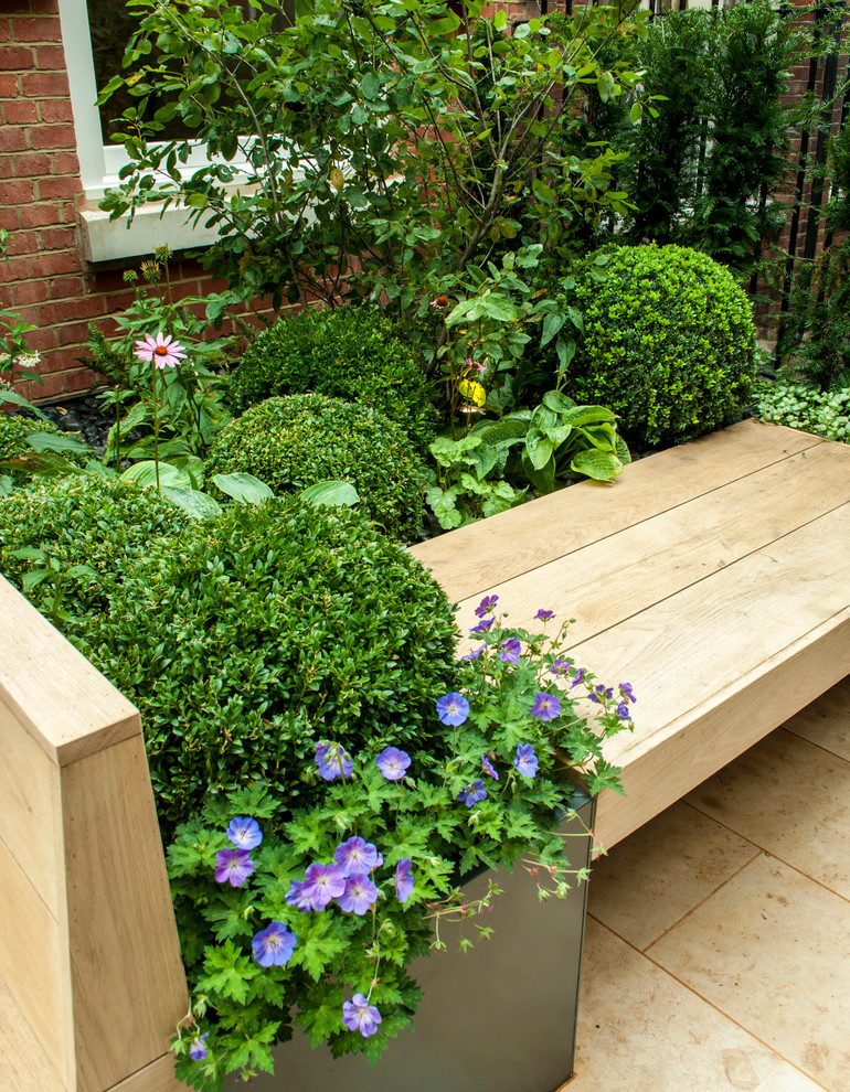 Photo of a small contemporary backyard deck in London with a container garden and a pergola.