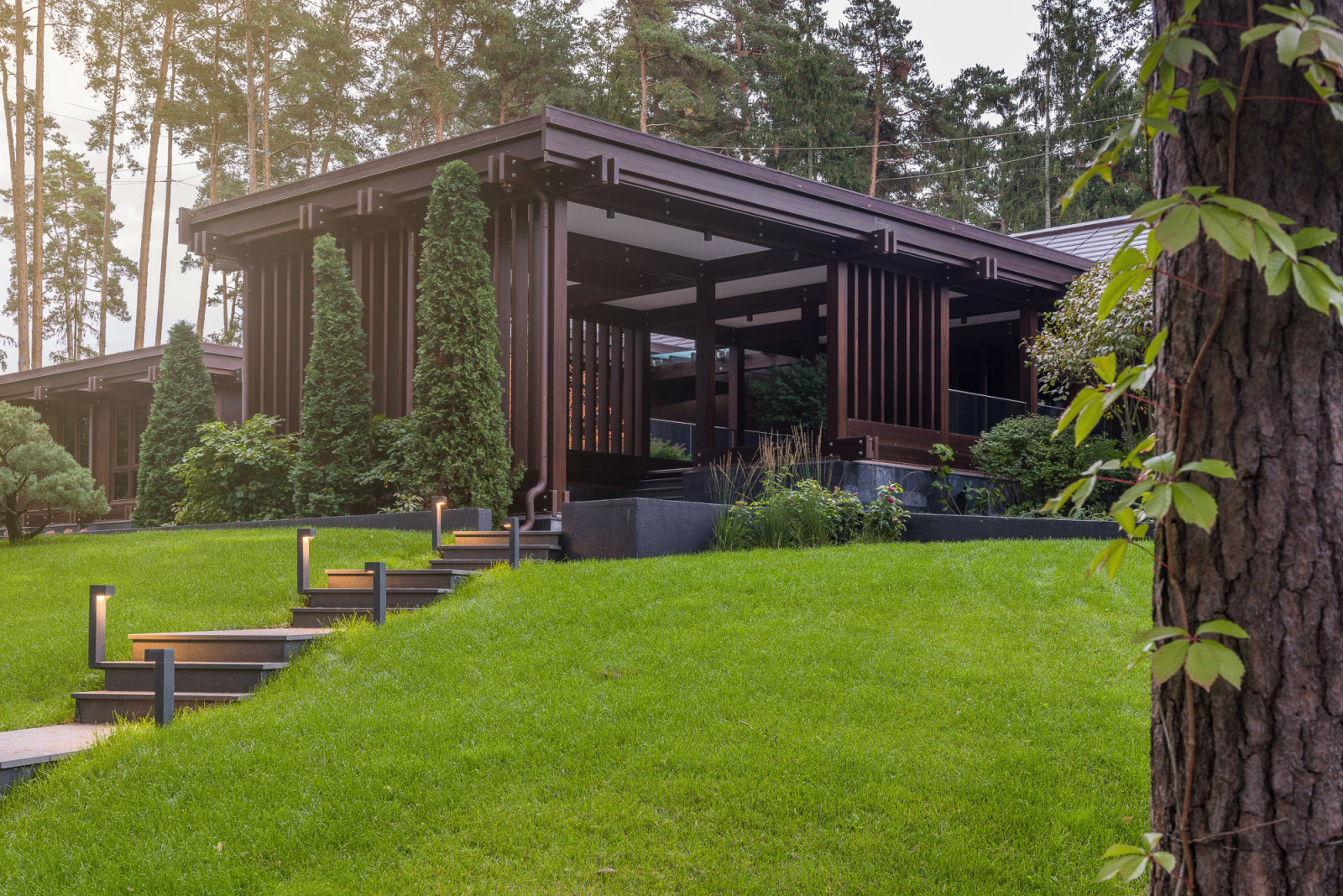 Сосновый бор