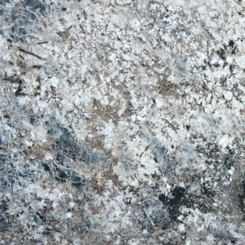 Various Sized Blue Flower Countertop Granite Slab Contemporary