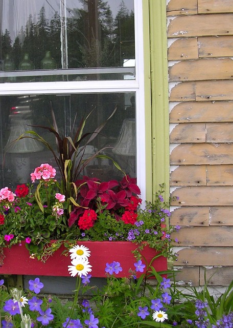 How To Make A Window Garden Grow, How To Make A Window Garden Box