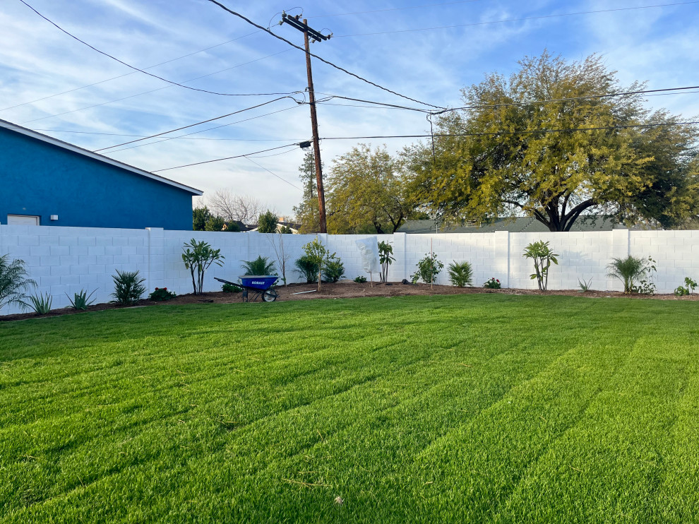 This is an example of a mid-sized tropical backyard garden in Phoenix.